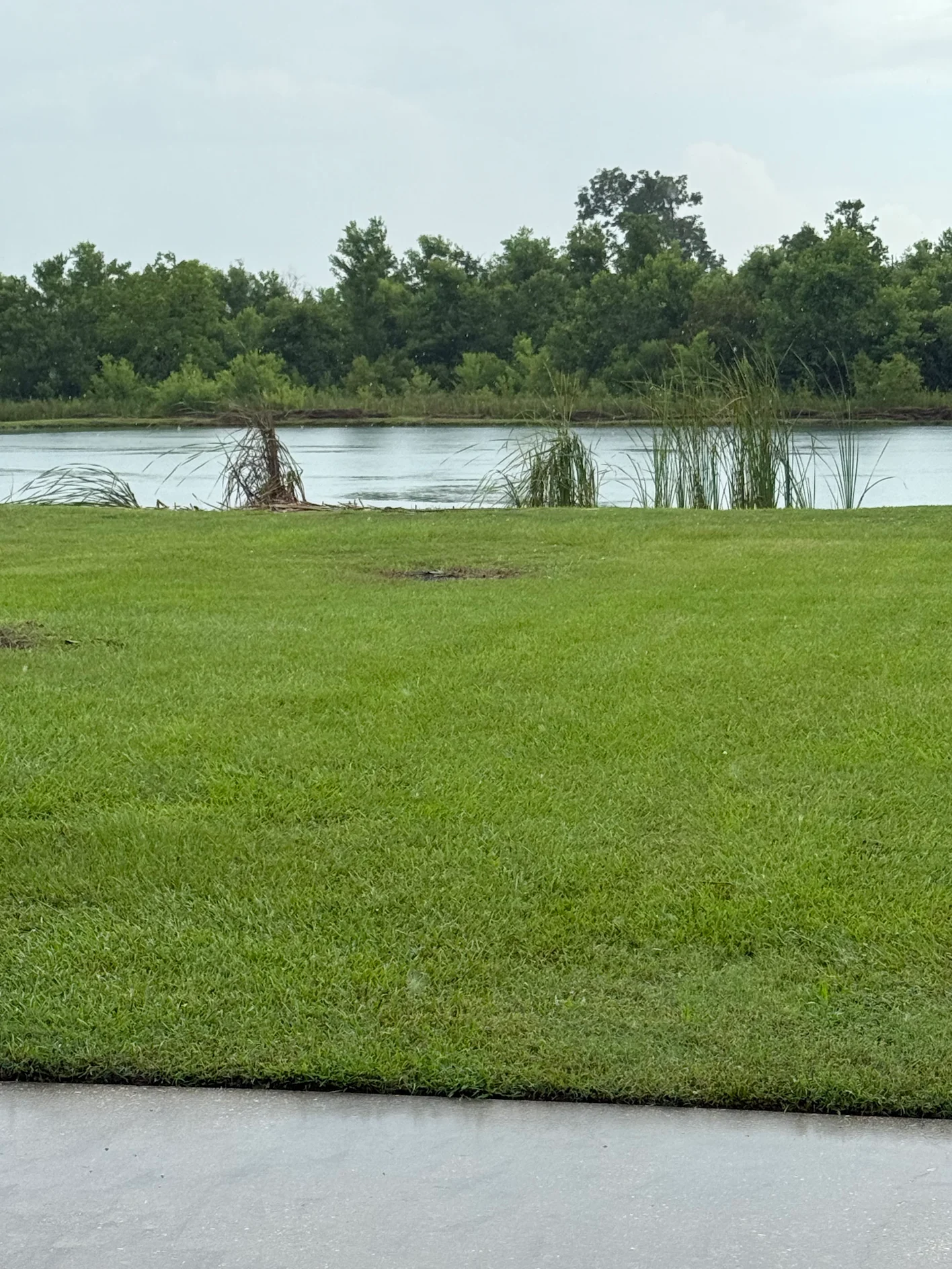 Pond cleaning result 1